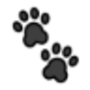 favicon.ico